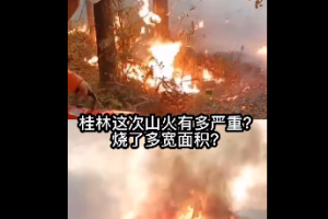桂林这次山火有多严重？烧了多宽面积？