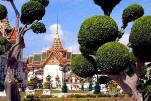 中外抱团：中泰文媒体报道泰国政府官员参观百家姓艺术博物馆