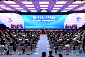 第19届中国—东盟博览会今日在中国南宁隆重开幕