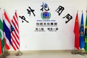 广西多个医疗健康行业协会与中外抱团网交流