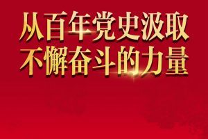 从百年党史汲取不懈奋斗的力量——与会同志谈党的十九届六中全会精神