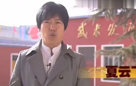  夏云飞影视作品2