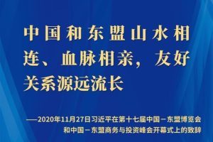 海报：习近平在第十七届中国－东盟博览会和中国－东盟商务与投资峰会开幕式上的致辞
