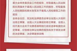 3月8日：十三届全国人大四次会议举行第二次全体会议