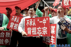 侨领乔立华率领爱国华人华侨抗议台独蔡英文过境美国