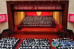 第十二届广西政协第三次会议召开、鹿心社接见乔立华等委员