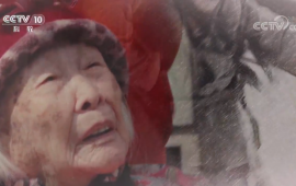 《百岁女红军王定国》20170913
