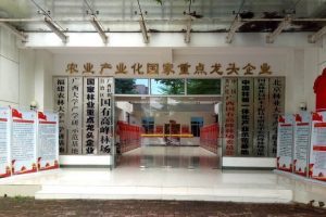 中外抱团与国家十佳林场林经产业示范基地—广西高峰林场探讨合作