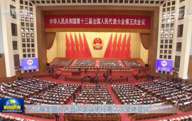[新华网]十三届全国人大五次会议举行第二次全体会议