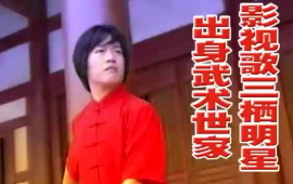 中外抱团：白岩松主持的CCTV《东方之子》夏云飞