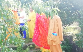 重庆长寿湖放生鱼苗仪式