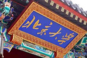 北京大学王继华教授的演讲，不信你还不爱国爱家