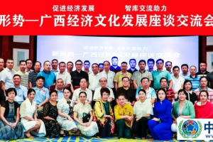 新形势—广西经济文化发展座谈交流会在邕举行