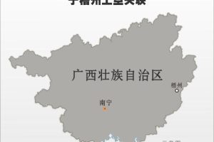 【新华网】东航一架客机坠毁 民航局已启动应急机制