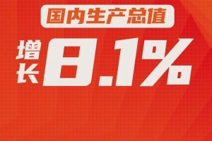 【全国政协十三届五次会议政府工作报告】2021年，经济保持恢复发展，国内生产总值达到114万亿元，增长8.1%。