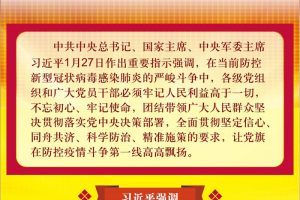 习近平：紧紧依靠人民群众坚决打赢疫情防控阻击战