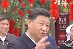 习语｜中国共产党说话是算数的