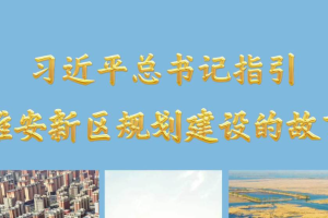 习近平总书记指引雄安新区规划建设的故事