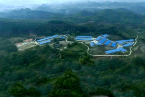 中国-东盟健康安全网秘书处参观国家重点农产龙头企业立腾农牧