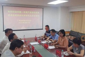‌中国-东盟产业合作发展促进会与广西品牌建设促进会开展交流