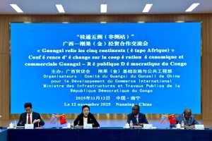 “桂通五洲(非洲站)”广西—刚果(金)经贸合作交流会在南宁成功举办