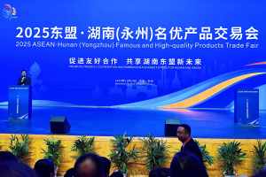 中外抱团东盟企业俱乐部参与东盟·湖南（永州）名优产品交易会