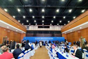 中外抱团东盟企业 东盟·湖南名交会越南专场采供订单飞涨