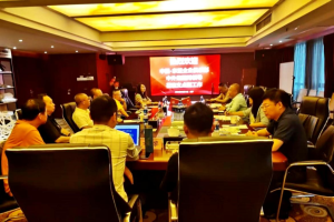 中外抱团中国-东盟企业俱乐部与湖南支点集团探讨出海合作