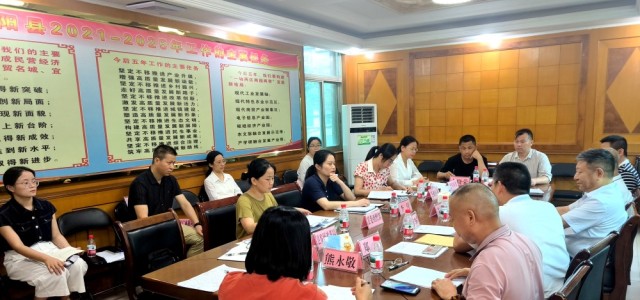 广西“拥抱AI·共襄公益”联合行动秘书处与宾阳县人民政府举行座谈