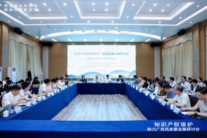 贯通南北科创链 链接东盟新蓝海——“知识产权保护助力广西高质量发展”研讨会在南宁成功举办