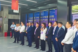 中外抱团.中国－东盟企业家侨商考察怀化国际陆港深化跨境合作
