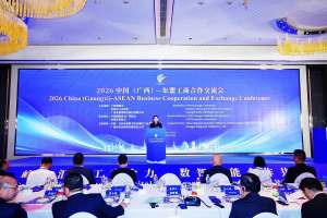 2026中国（广西）—东盟工商合作交流会成功举办