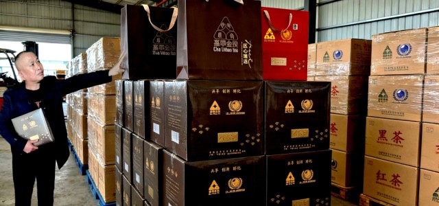 中外抱团东盟企业助名茶出海东盟马年开门红