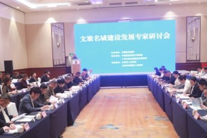 首届文旅名城建设发展专家研讨会在北海成功举办