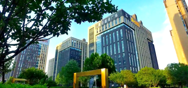 中外抱团・东盟企业俱乐部携手湖南麓谷基金广场 联合国内持牌头部投融资机构 助力企业赴港上市拓蓝海