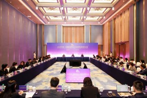 2026年中国—东盟商务理事会主席团单位联络官会议在南宁召开