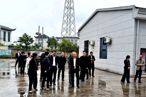 中外抱团东盟企业俱乐部考察湘西花垣羽丰鸽业 探寻特色畜禽产业合作新路径
