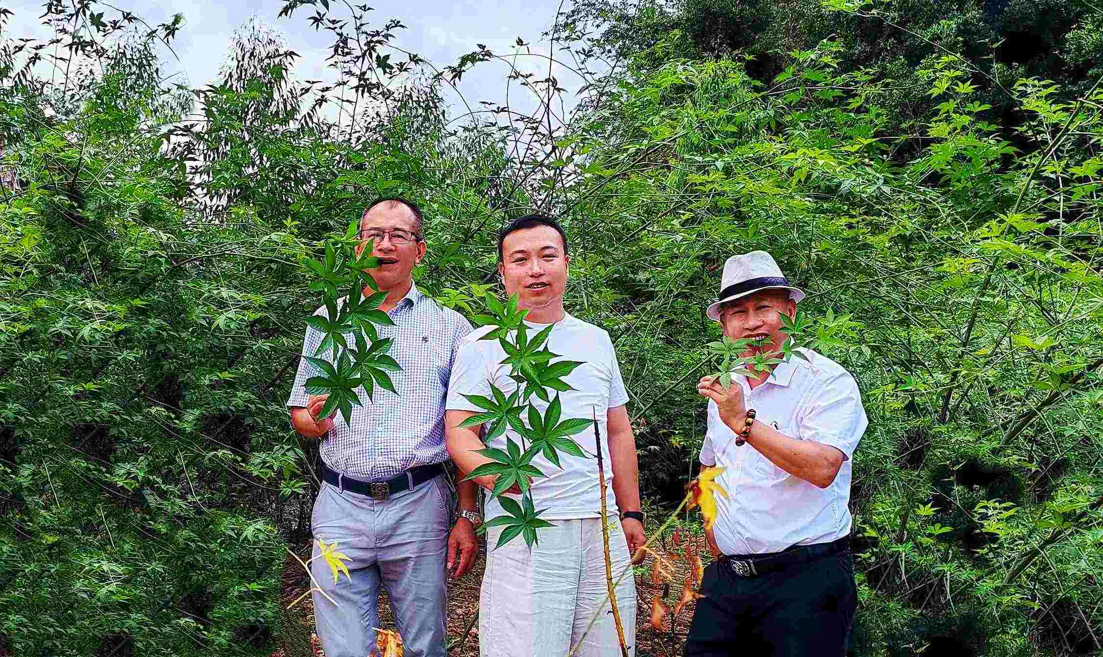 图片描述